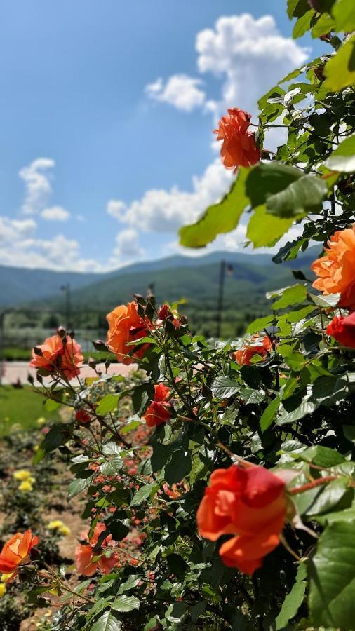 Studio- Apartament Lake View Pravets Golf Resort Екстер'єр фото